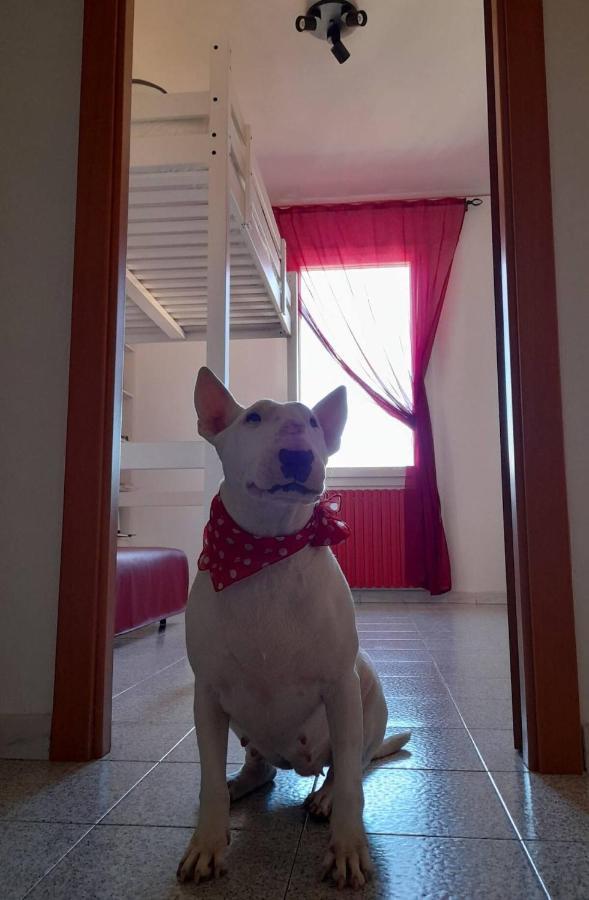 Bologna Homestay Buitenkant foto